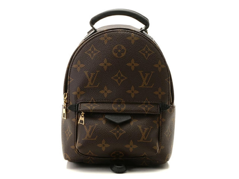 LOUIS VUITTON Palm Springs Backpack around